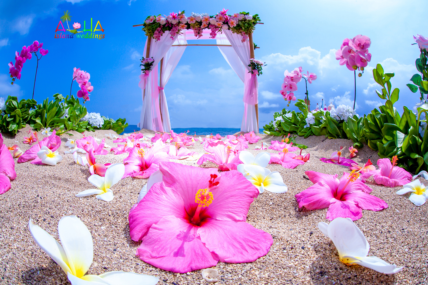 Love this wonderment beach wedding arch set on the sandy shoreswith hibiscus and plumerias of pinks